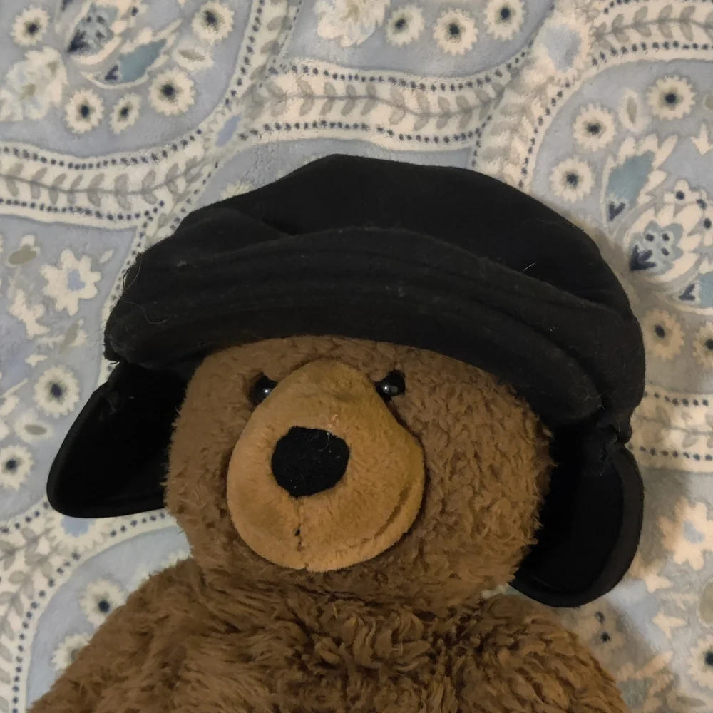 Stetson Newsboy wool blend hat adjustable ear warmer! Stretch Small/medium men's - Picture 1 of 7